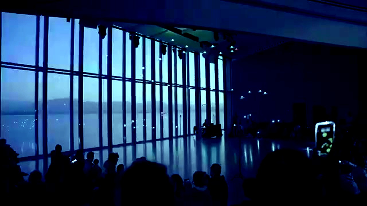 Audience watching drone show